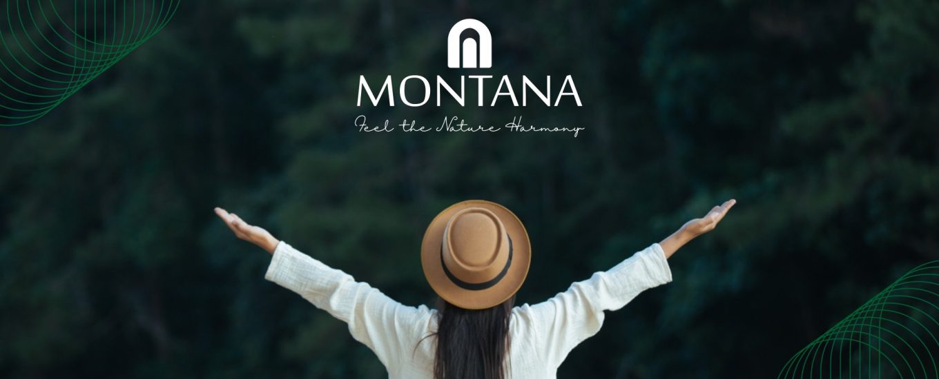 CLUSTER MONTANA-01